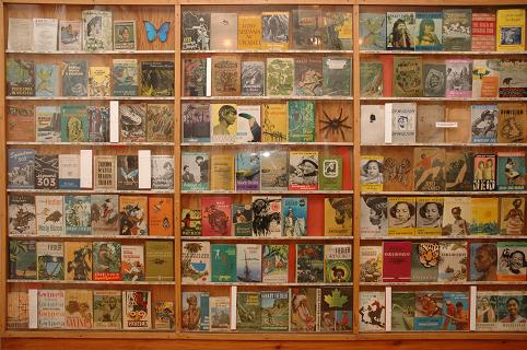 Kliknij by przybli�y�